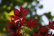 Photography