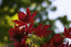 Photography