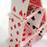 Risk Management