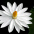 keerthi_talasila