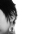 flore_