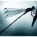 dragonfly twin